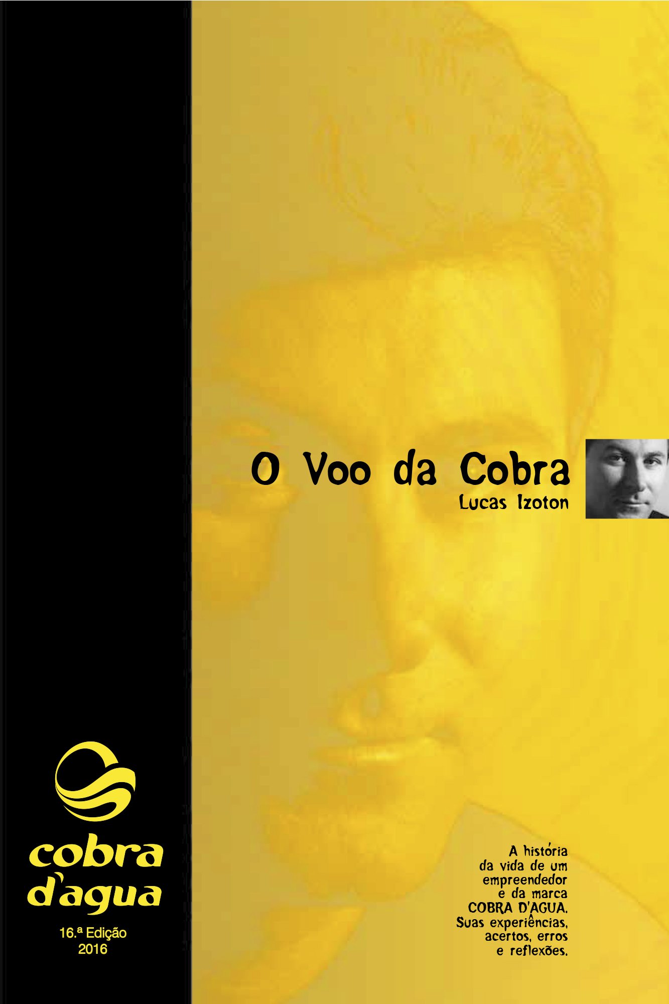 Capa do livro O voo da Cobra